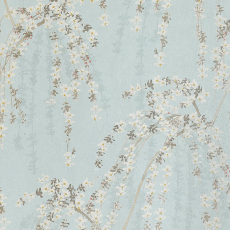 Design Your Dream Space Today